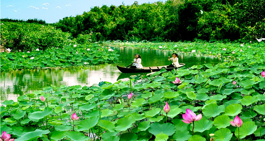 Transfer from Saigon to Cao Lanh by private car